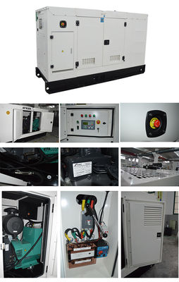 ชุดเครื่องกำเนิดไฟฟ้าเงียบ 6.25 KVA พร้อมเบรกเกอร์ Delixi และทำงานได้ 8 ชั่วโมงที่โหลดเต็มสำหรับแหล่งจ่ายไฟที่เงียบสงบ